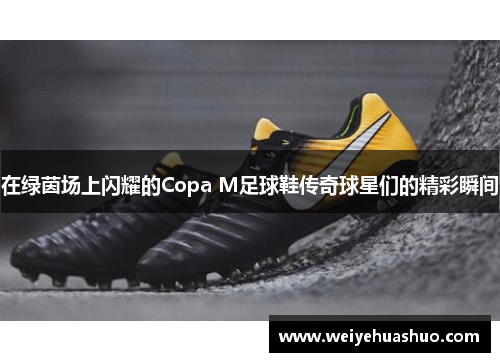 在绿茵场上闪耀的Copa M足球鞋传奇球星们的精彩瞬间