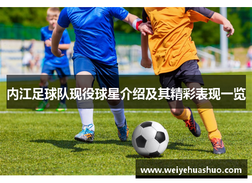 内江足球队现役球星介绍及其精彩表现一览