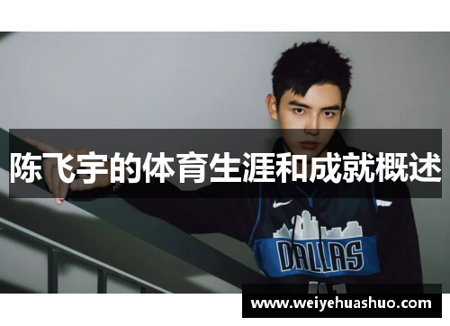 陈飞宇的体育生涯和成就概述