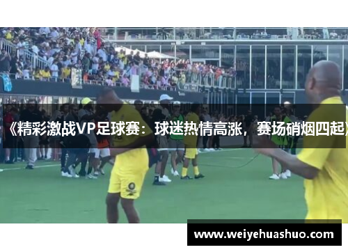 《精彩激战VP足球赛：球迷热情高涨，赛场硝烟四起》